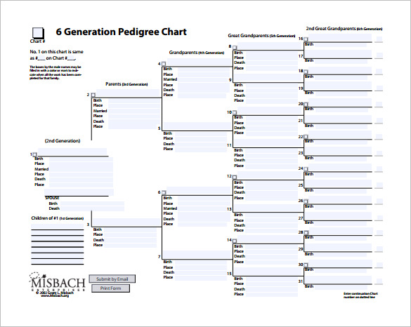 microsoft-word-dog-pedigree-template-with-pictures-cracklake